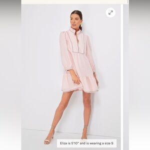 Tuckernuck Bermuda pink palmerston dress